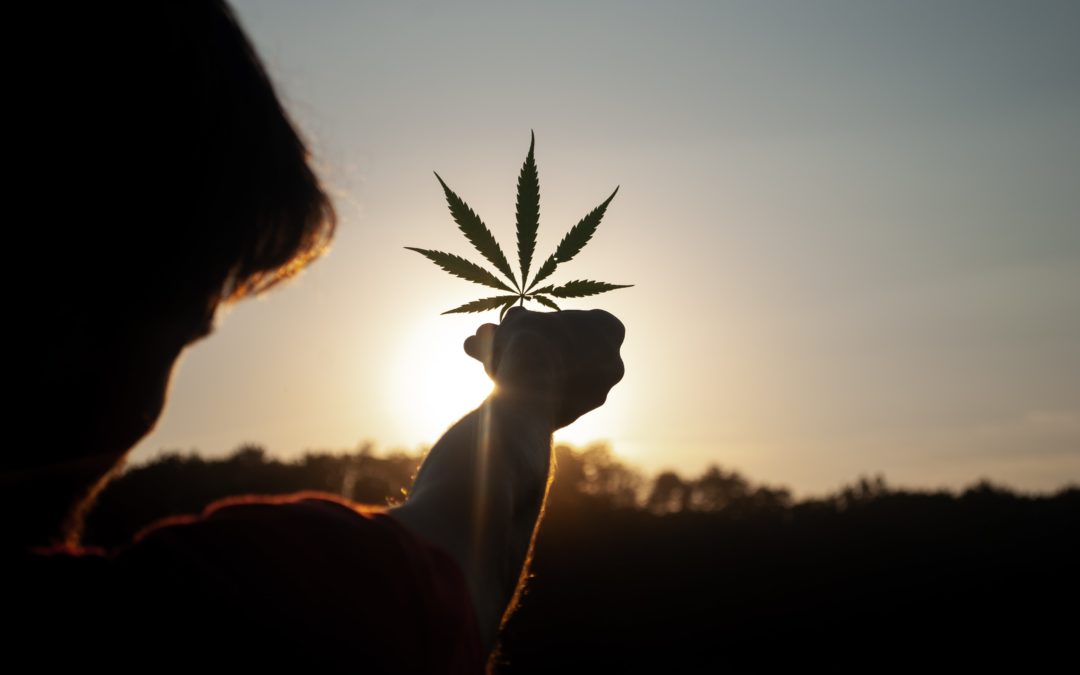 Are You New to Cannabis?